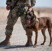 K9 EOD Joint Training