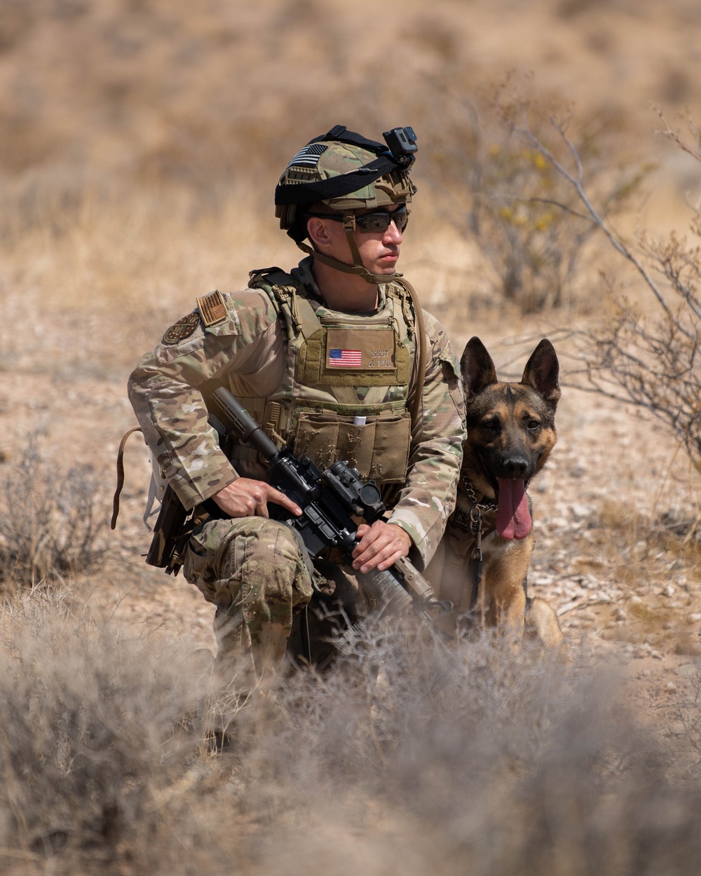 K9 EOD Joint Training