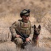 K9 EOD Joint Training