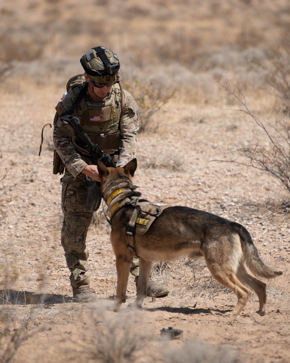 K9 EOD Joint Training