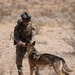 K9 EOD Joint Training