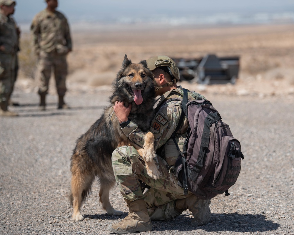 DVIDS - Images - K9 EOD Joint Training [Image 7 of 10]