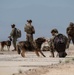 K9 EOD Joint Training