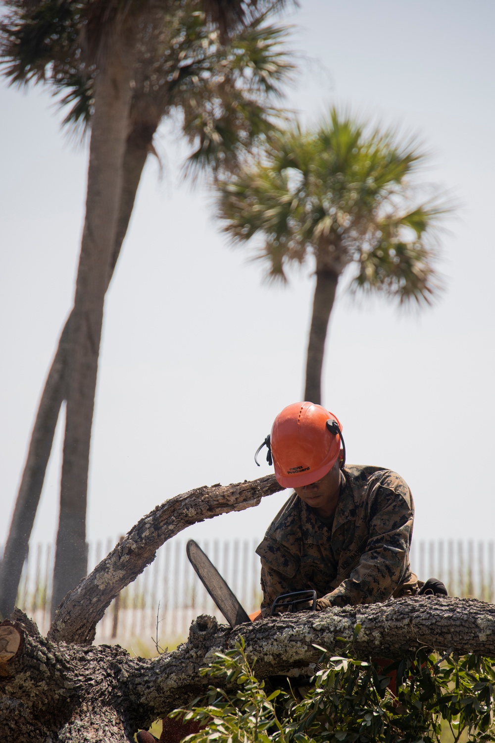 Marine Wing Support Squadron Engineer Company at Hunting Island