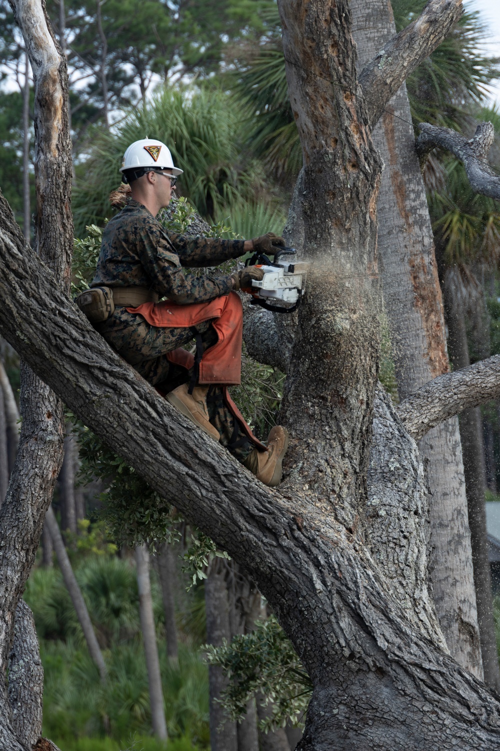 Marine Wing Support Squadron Engineer Company at Hunting Island