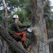 Marine Wing Support Squadron Engineer Company at Hunting Island