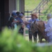 Fort Campbell SRU Soldiers participate in Equine Therapy