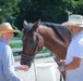 Fort Campbell SRU Soldiers participate in Equine Therapy