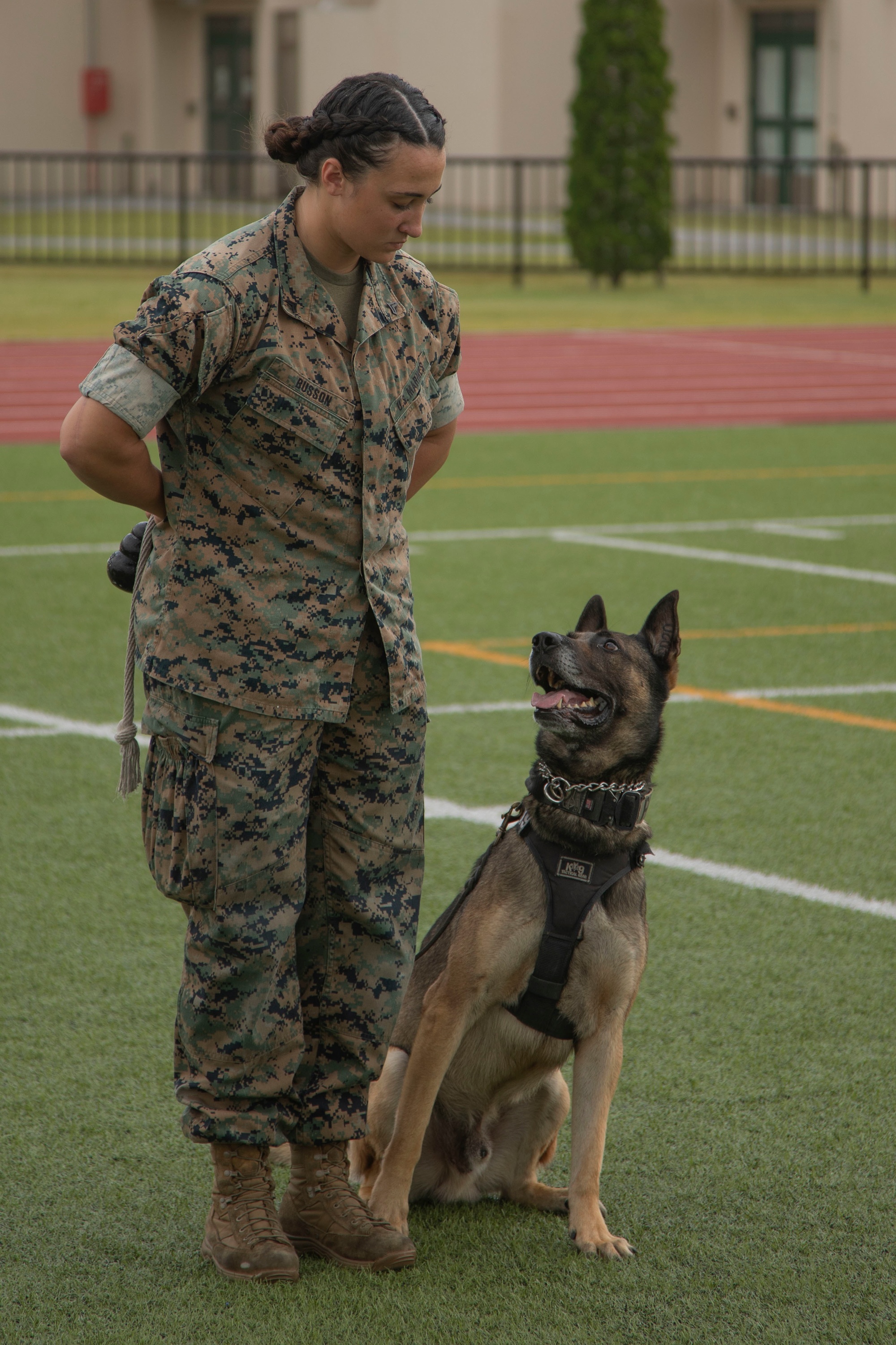 Marine corps 2024 k9 training