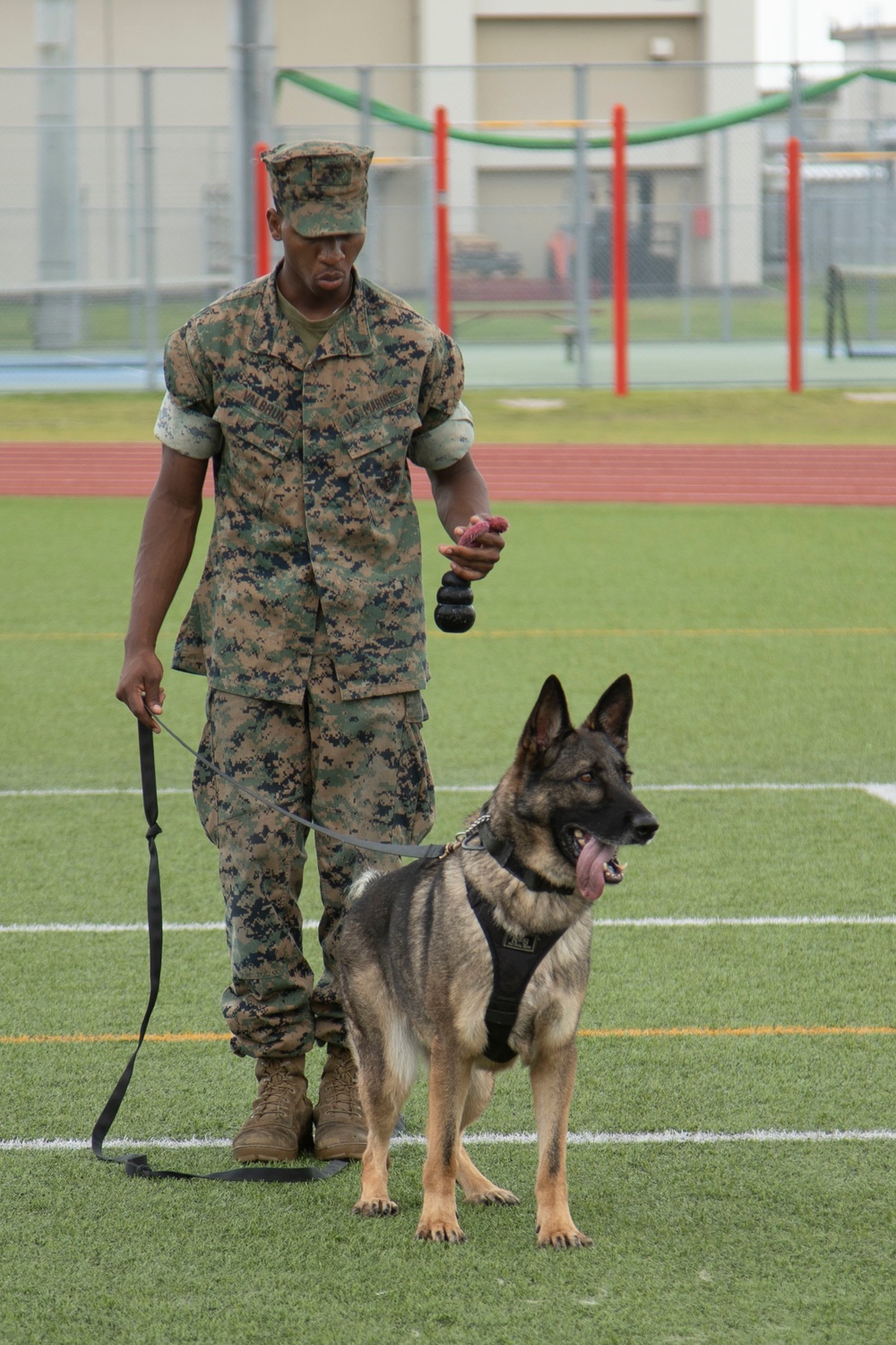 MCAS Iwakuni K-9's Show Off Bite Training