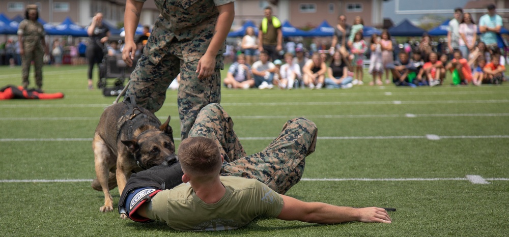 MCAS Iwakuni K-9's Show Off Bite Training