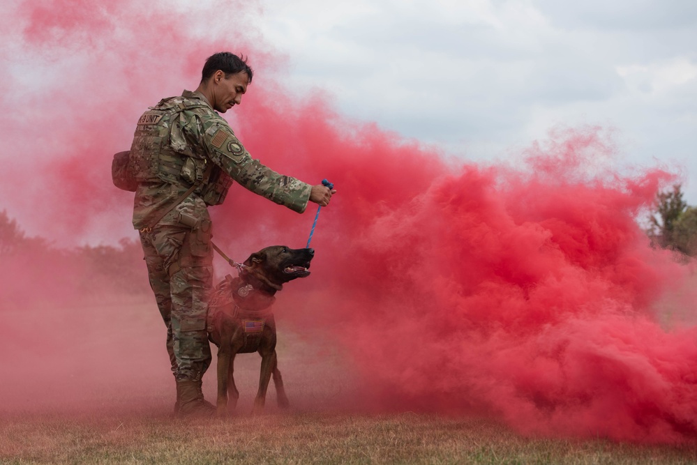 Military Working Dog handlers conducts routine training