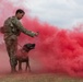 Military Working Dog handlers conducts routine training