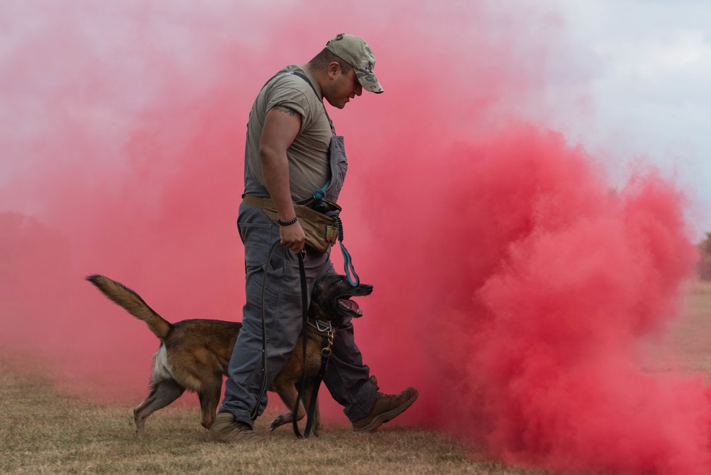 Military Working Dog handlers conducts routine training