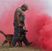 Military Working Dog handlers conducts routine training