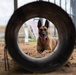 Military Working Dog handlers conducts routine training