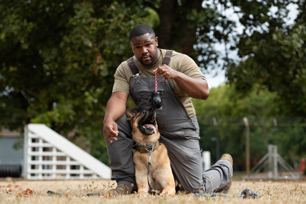 Military Working Dog handlers conducts routine training