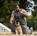 Military Working Dog handlers conducts routine training