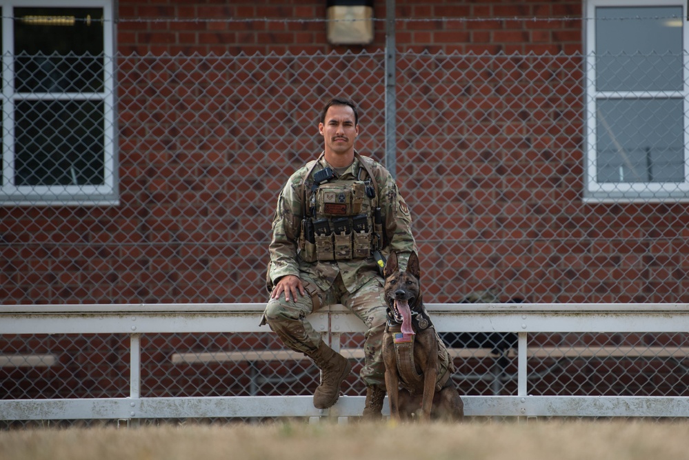 Military Working Dog handlers conducts routine training