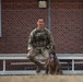 Military Working Dog handlers conducts routine training