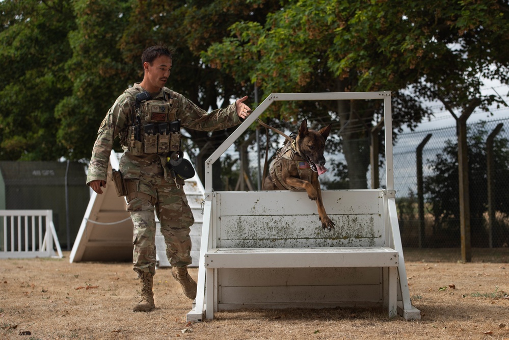 Military Working Dog handlers conducts routine training