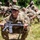 Task Force Red Dragon conducts Spur Ride in Kenya