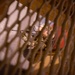 Malmstrom renovates security forces training area