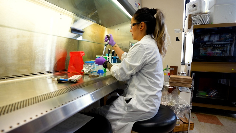 Tiffany Wong-Stack, Ph.D., NRL postdoctoral researcher, prepares the fungus Aspergillus niger