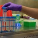 NRL Microbiologists prepare experimental samples of 'Aspergillus niger'