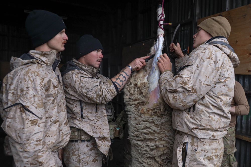 Chile Cold Weather Training: Marines practice Food Survival