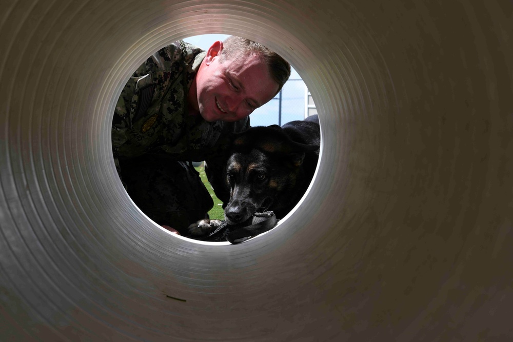 Naval Station Guantanamo Bay’s Military Working Dog Kennel selected as the Navy Region Southeast Kennel of the year.