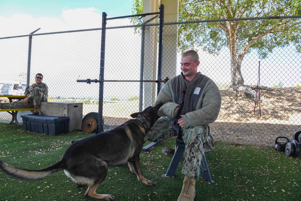 Naval Station Guantanamo Bay’s Military Working Dog Kennel selected as the Navy Region Southeast Kennel of the year.