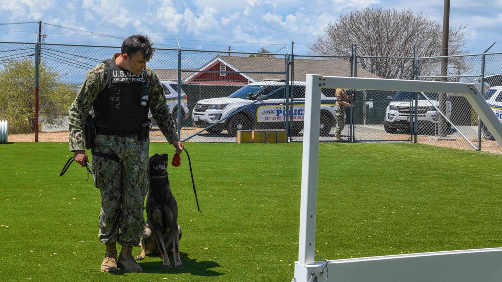Naval Station Guantanamo Bay’s Military Working Dog Kennel selected as the Navy Region Southeast Kennel of the year.