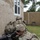AMC Best Squad Soldiers train on Fort Rucker for Army-wide competition