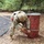 AMC Best Squad Soldiers train on Fort Rucker for Army-wide competition
