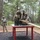 AMC Best Squad Soldiers train on Fort Rucker for Army-wide competition