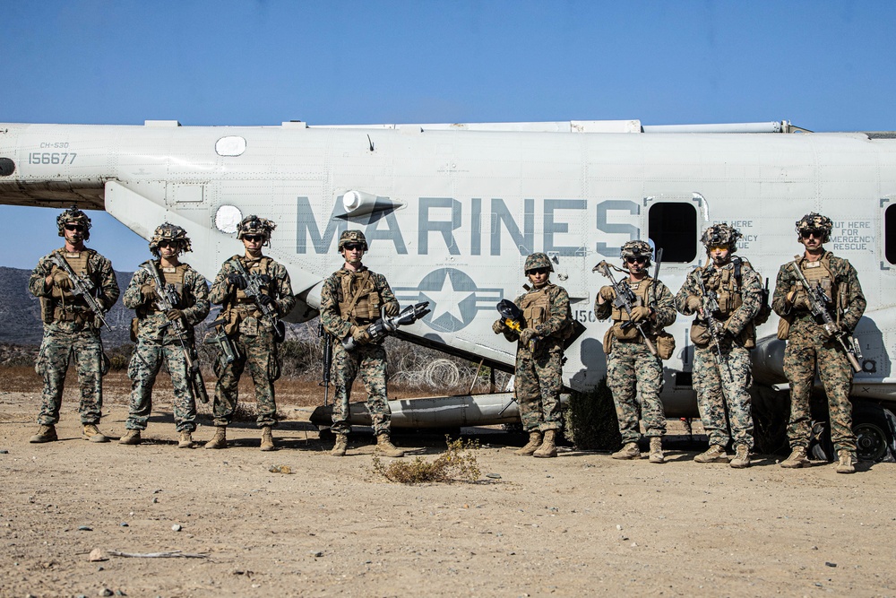 1st Bn., 4th Marines, Tactical Recovery of Aircraft and Personnel training exercise