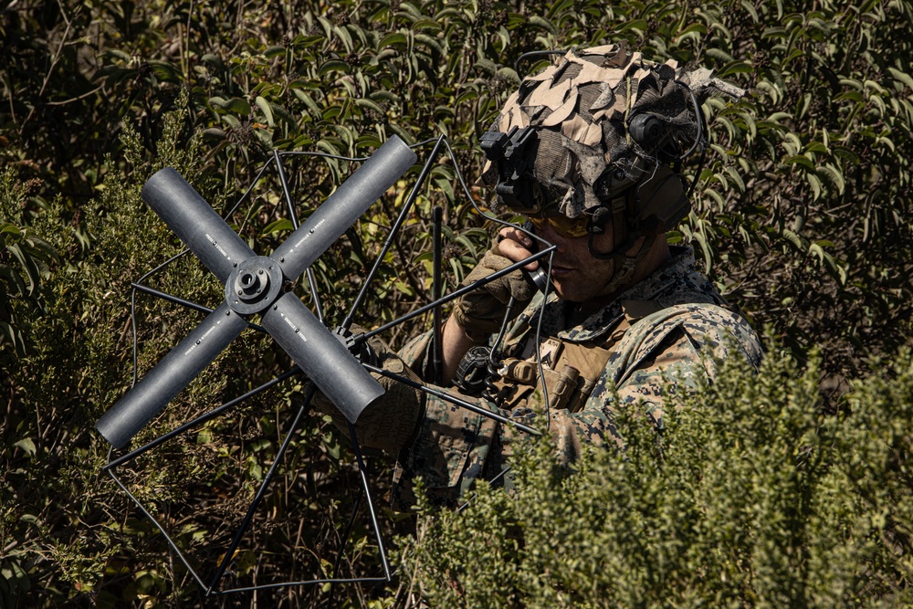 1st Bn., 4th Marines, Tactical Recovery of Aircraft and Personnel training exercise