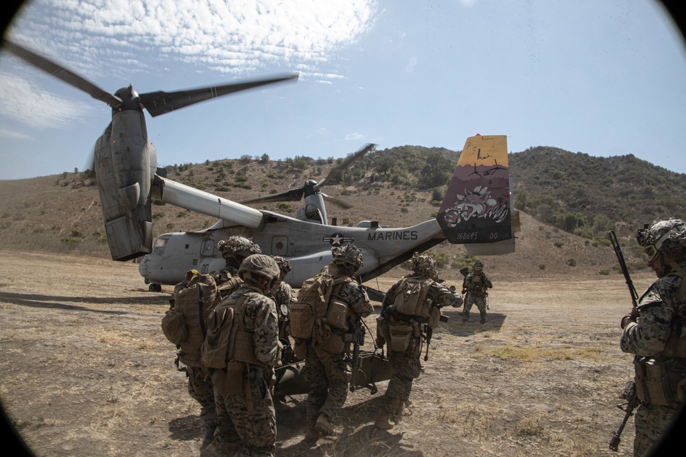 1st Bn., 4th Marines, Tactical Recovery of Aircraft and Personnel training exercise