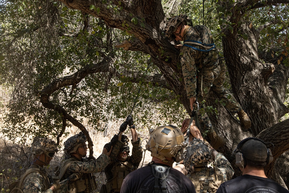 1st Bn., 4th Marines, Tactical Recovery of Aircraft and Personnel training exercise