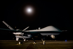361st Expeditionary Attack Squadron MQ-9 Reaper Fact Sheet