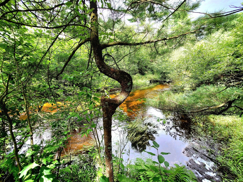 Fort McCoy's Pine View Recreation Area