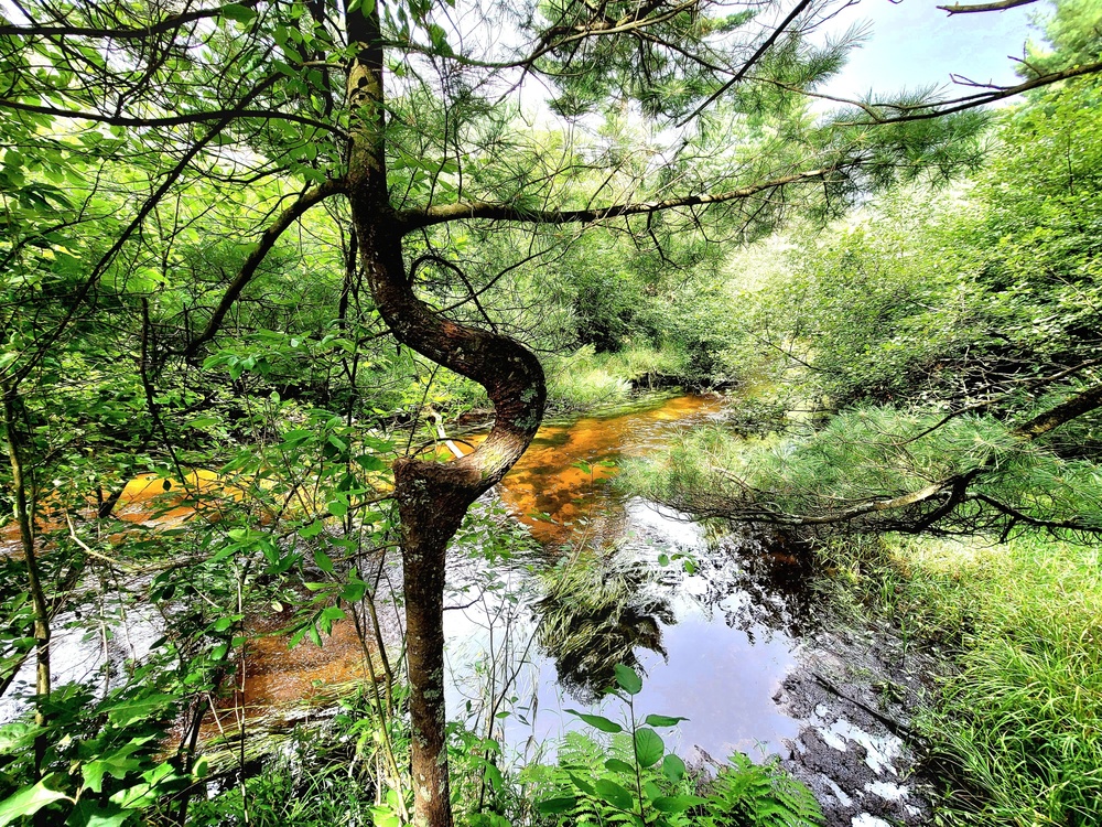 Fort McCoy's Pine View Recreation Area