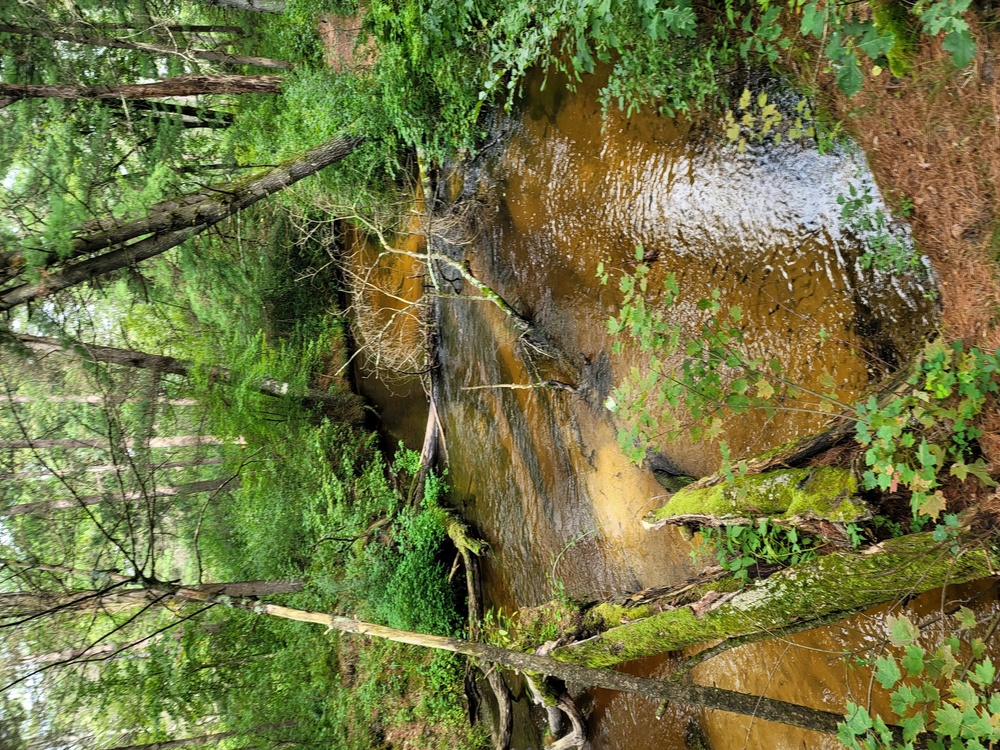 Fort McCoy's Pine View Recreation Area