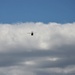 UH-60V Black Hawk testing held by 106th Aviation Regiment at Fort McCoy