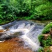 Trout Falls at Fort McCoy's Pine View Recreation Area