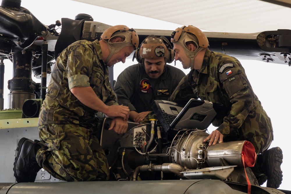 Czech Air Force gets technical with CNATT instructors