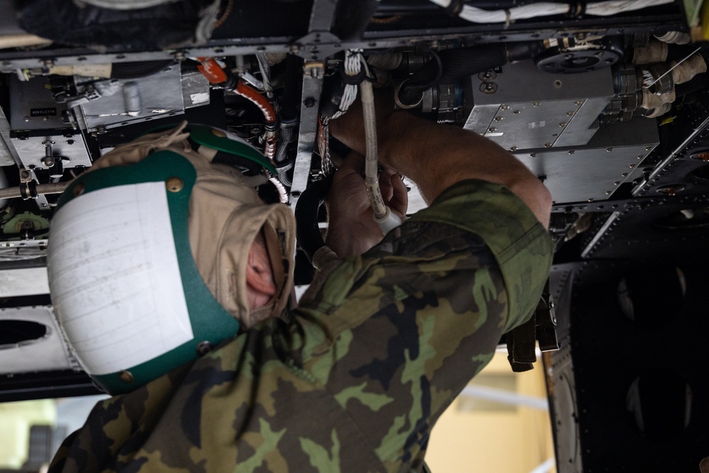 Czech Air Force gets technical with CNATT instructors