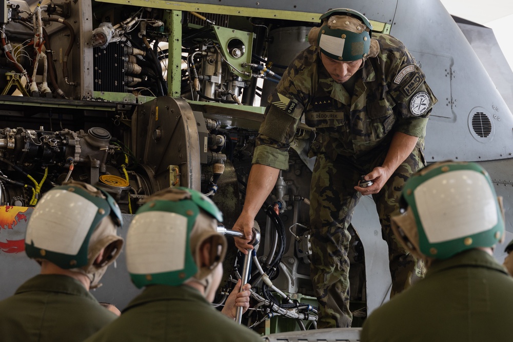 Czech Air Force gets technical with CNATT instructors