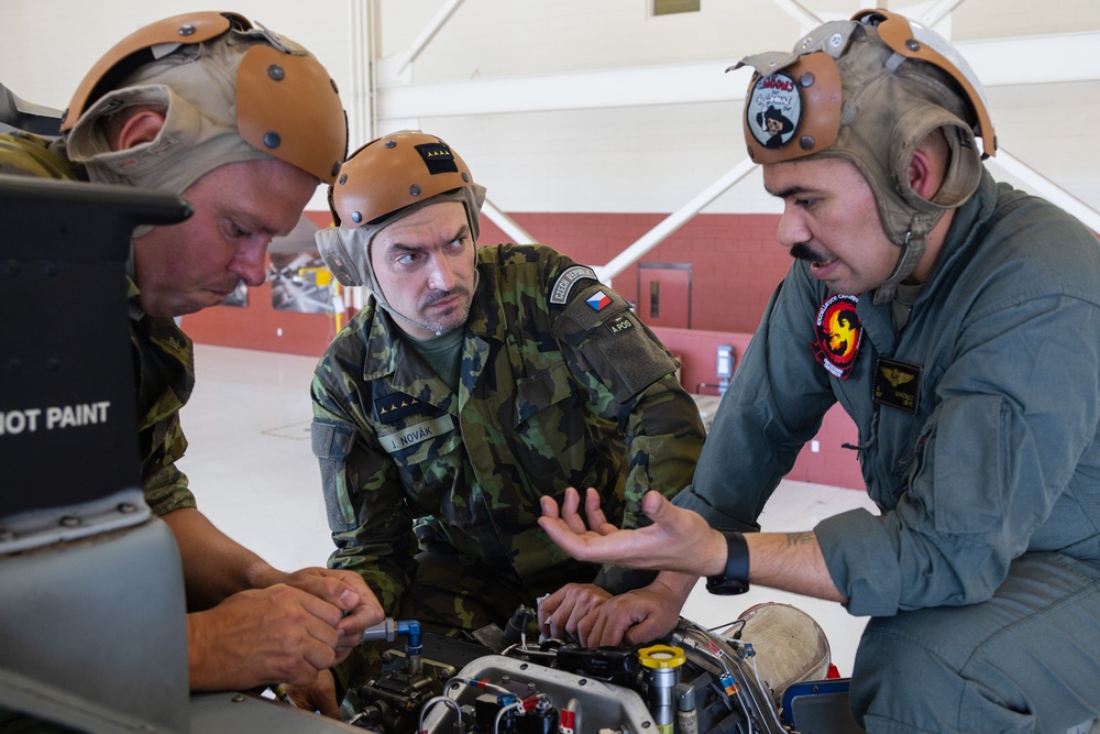 Czech Air Force gets technical with CNATT instructors